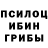 Псилоцибиновые грибы Cubensis xRoman1989x