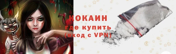 индика Абинск