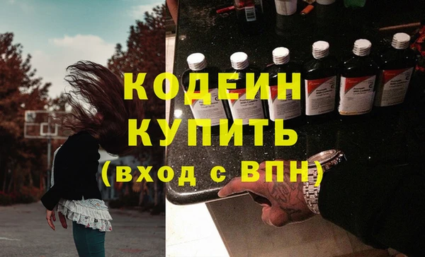 индика Абинск