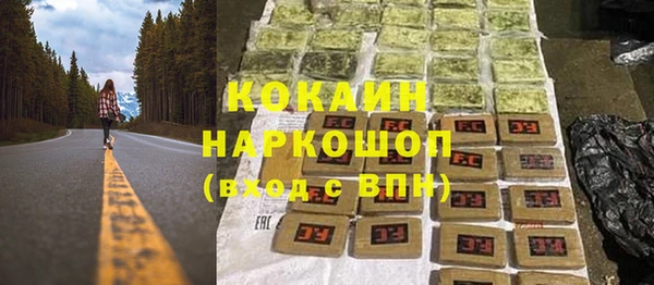 соль ск Алзамай