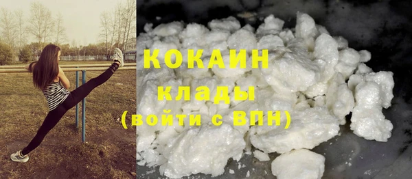 индика Абинск
