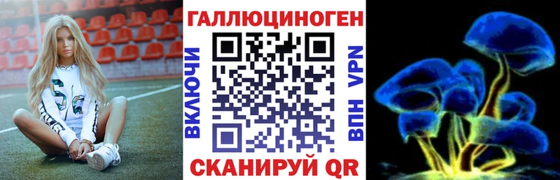 блэк спрут зеркало  Староминская  Галлюциногенные грибы ЛСД 